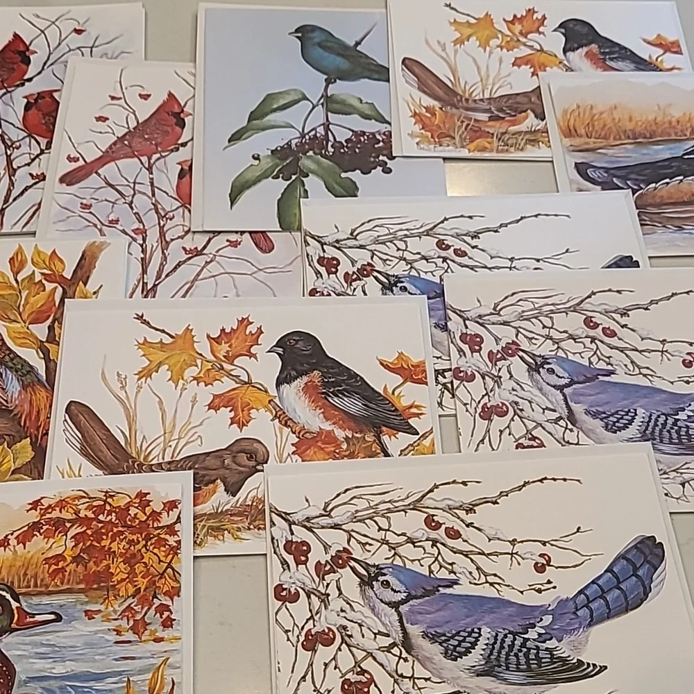 Bundle of 11 Nature Bird Greeting Cards
